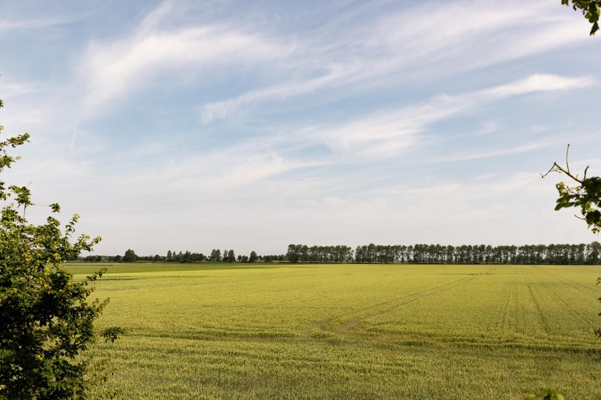 Hof Van Maldegem Kortgene Zewnętrze zdjęcie