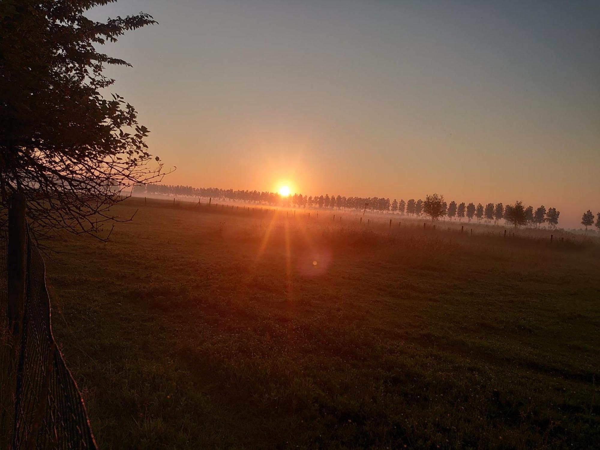 Hof Van Maldegem Kortgene Zewnętrze zdjęcie