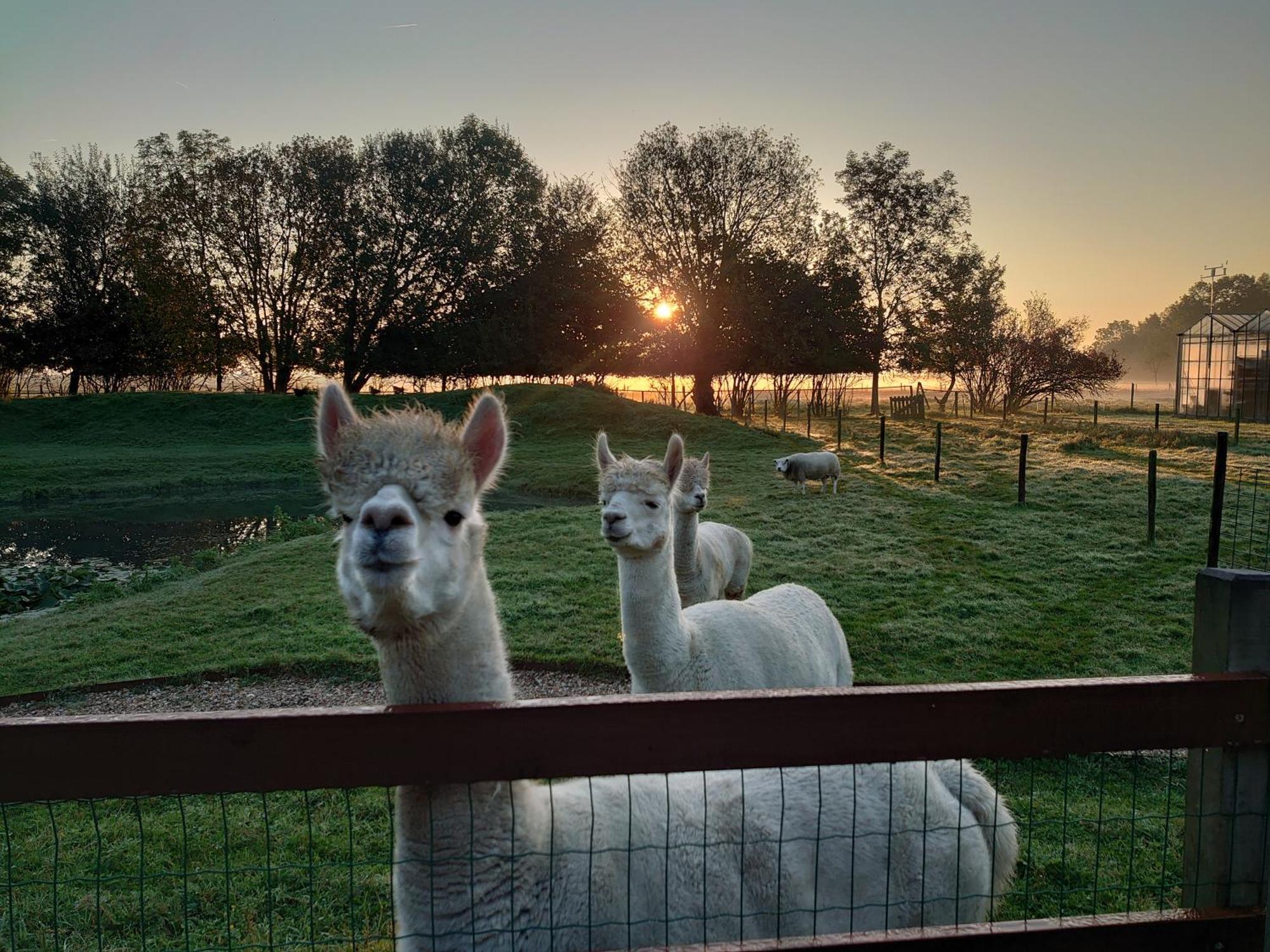 Hof Van Maldegem Kortgene Zewnętrze zdjęcie